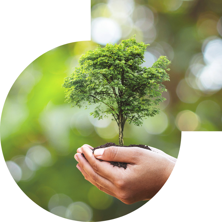 关怀人类、文化、环境与社会